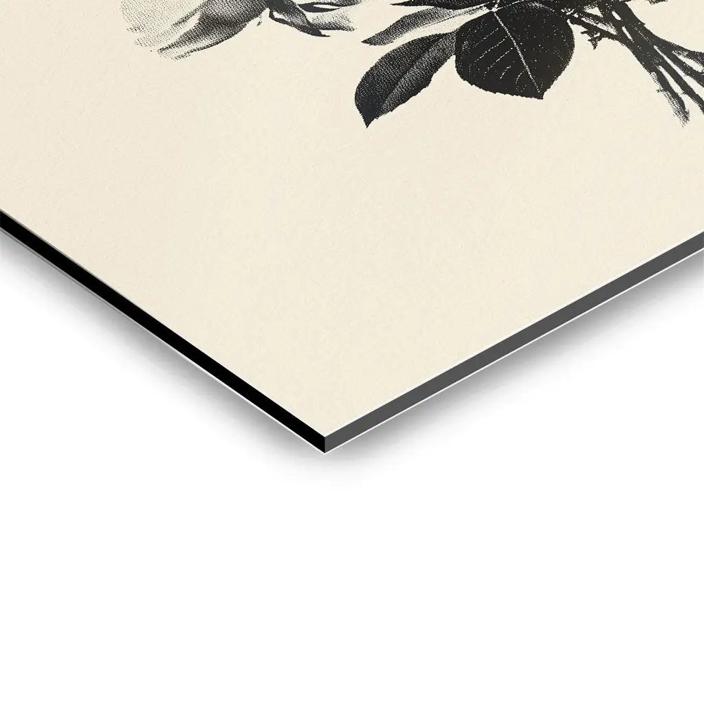 Canvarisma - "I CAN BUYMYSELF FLOWERS" -  Bild