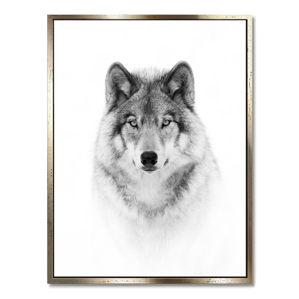 "PORTRAIT OF A TIMBER WOLF"