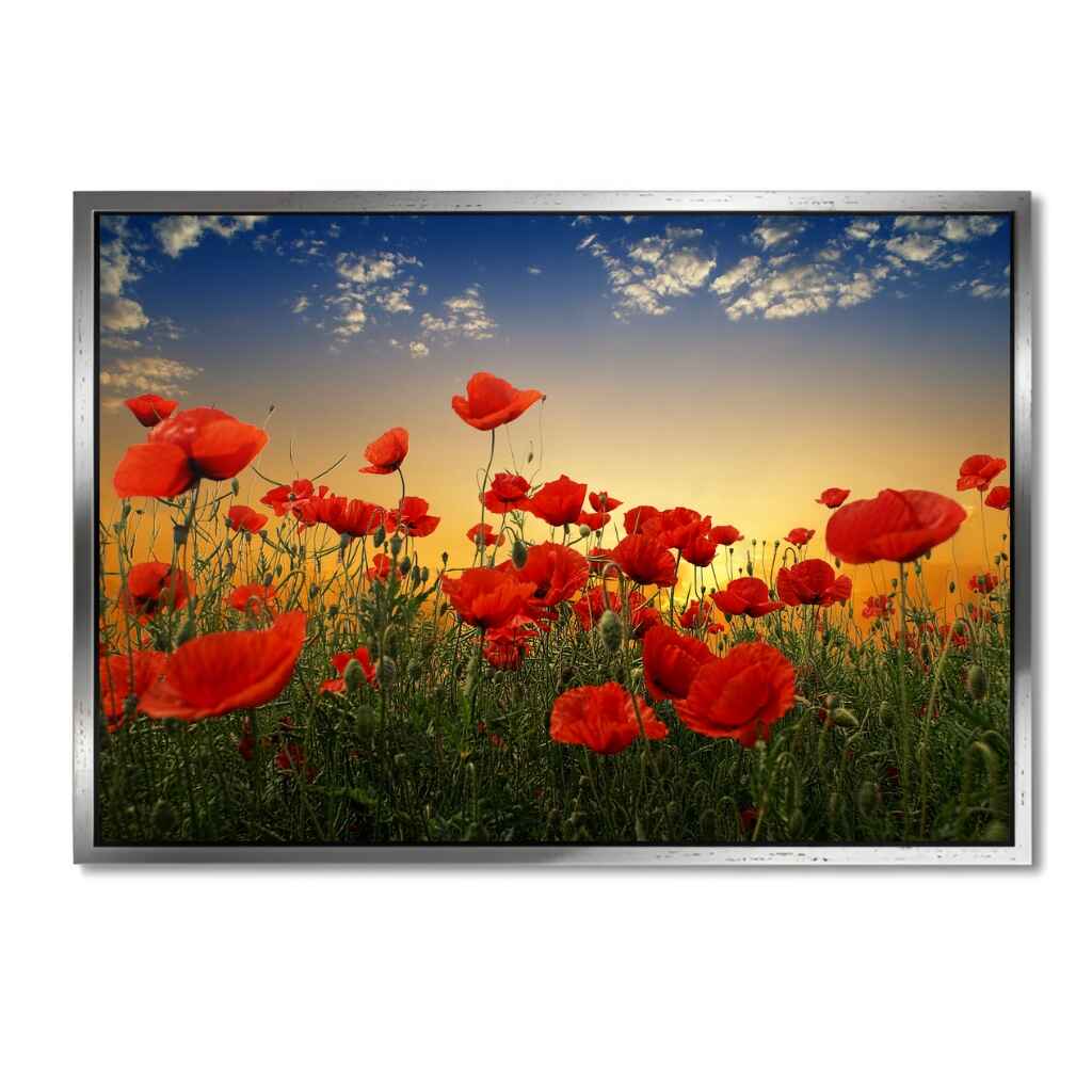 "POPPIES" - Art For Everyone