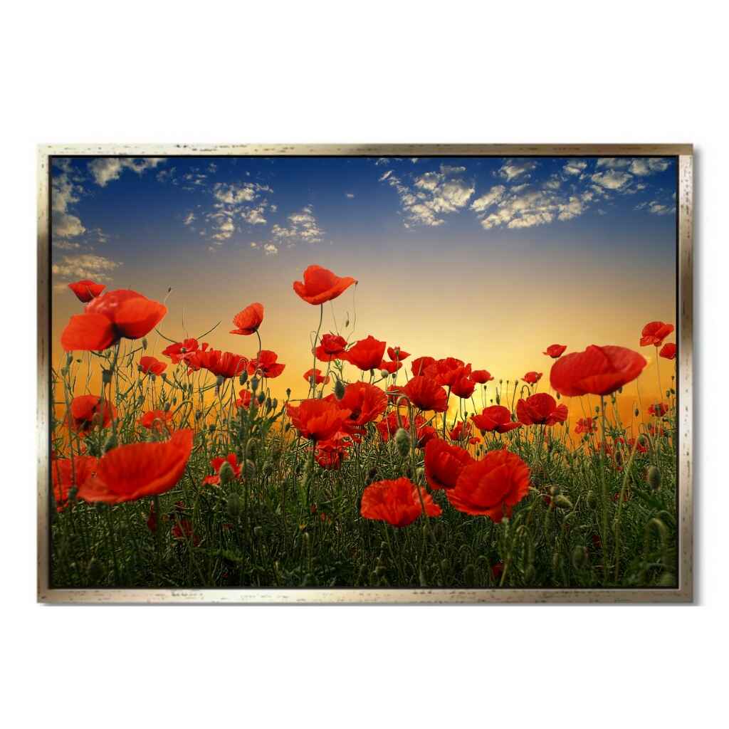 "POPPIES" - Art For Everyone