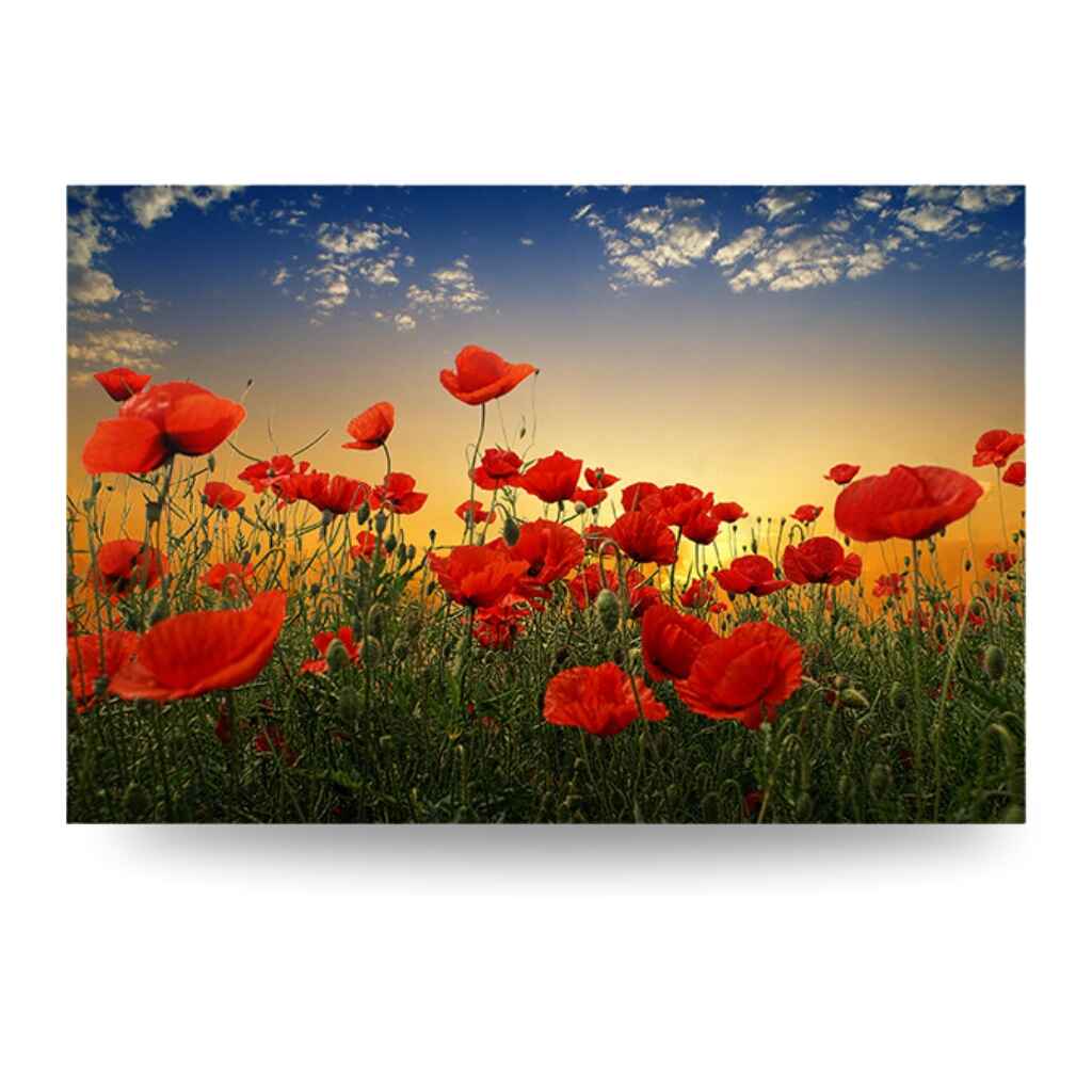 "POPPIES" - Art For Everyone