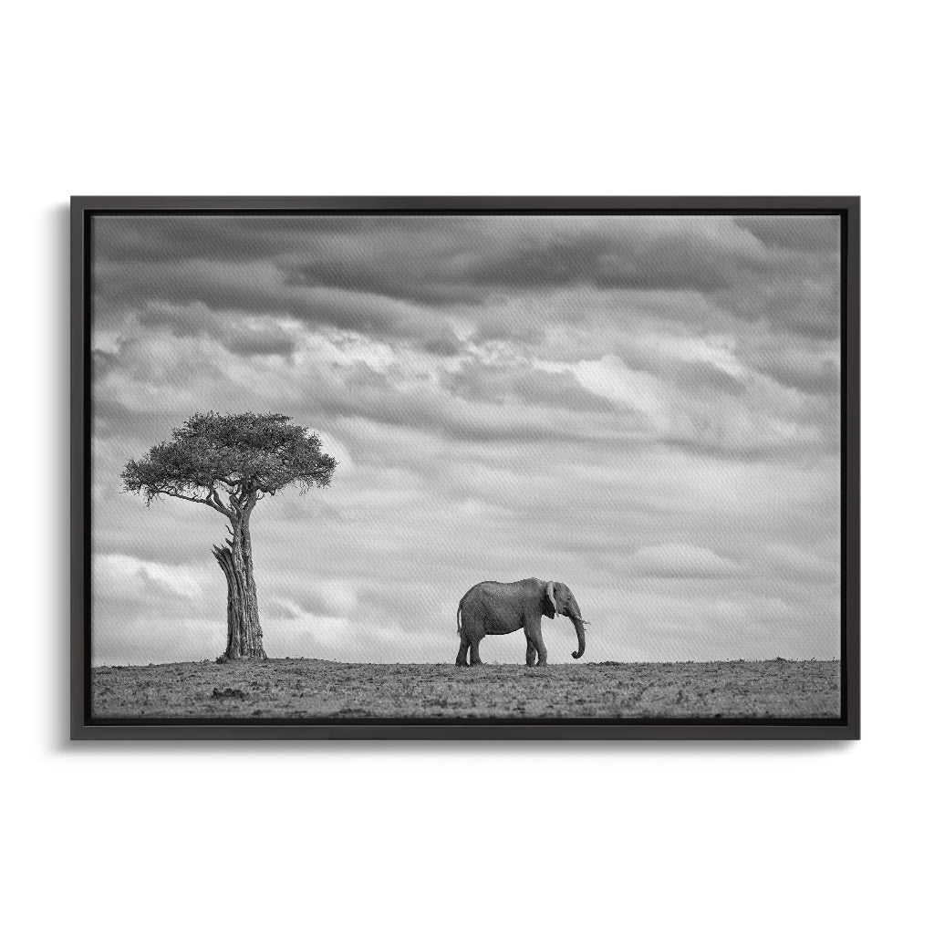 "ELEPHANT LANDSCAPE"