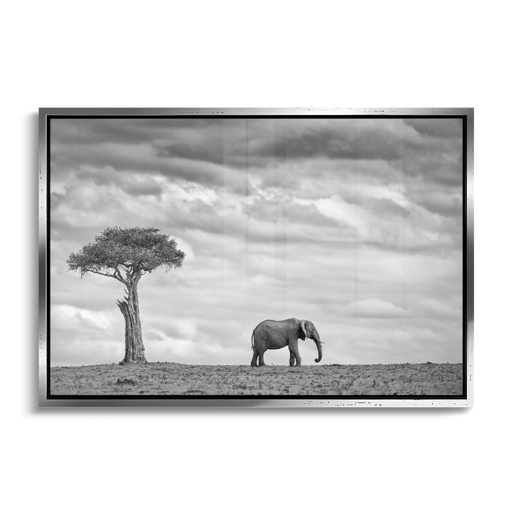 "ELEPHANT LANDSCAPE"