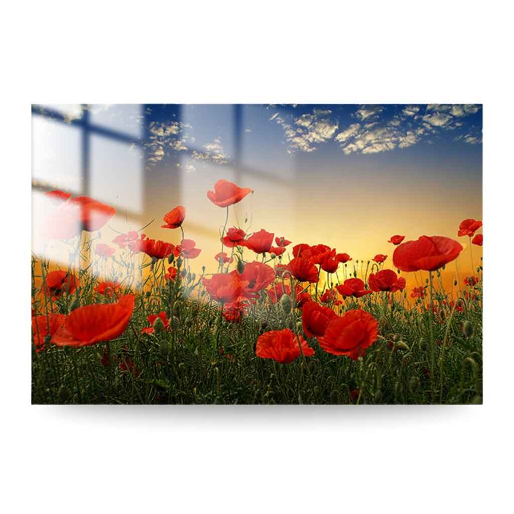 "POPPIES" - Art For Everyone