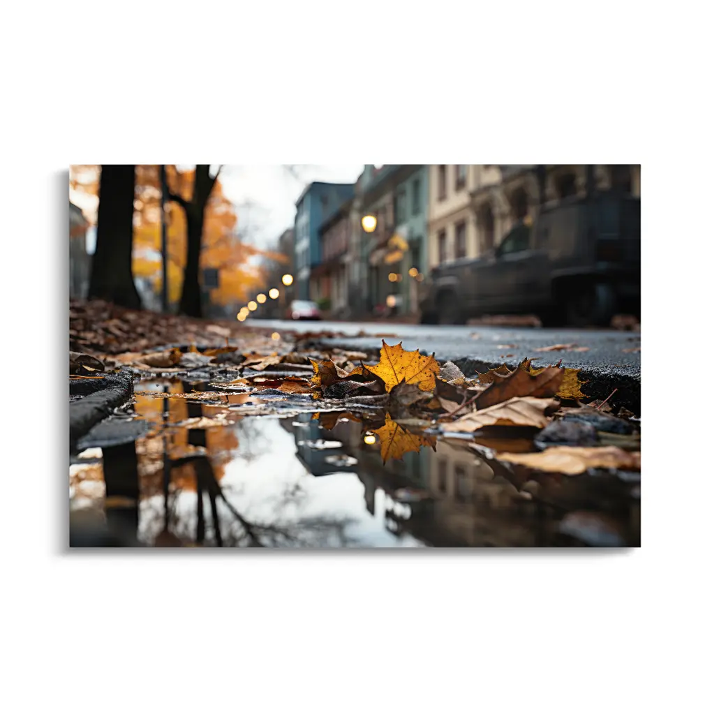 Autumn Reflections