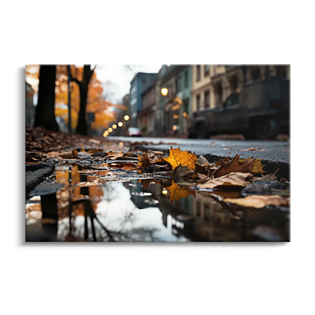 Autumn Reflections