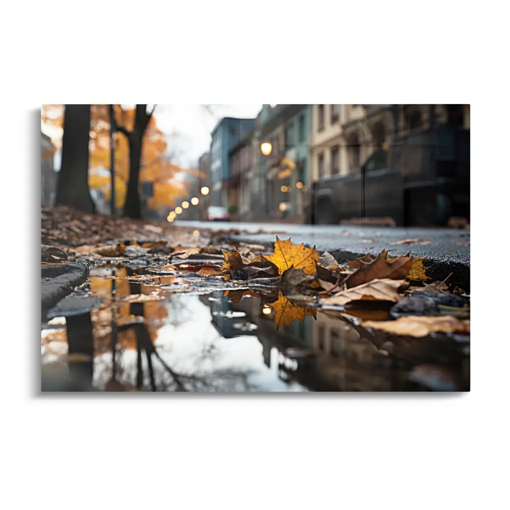 Autumn Reflections