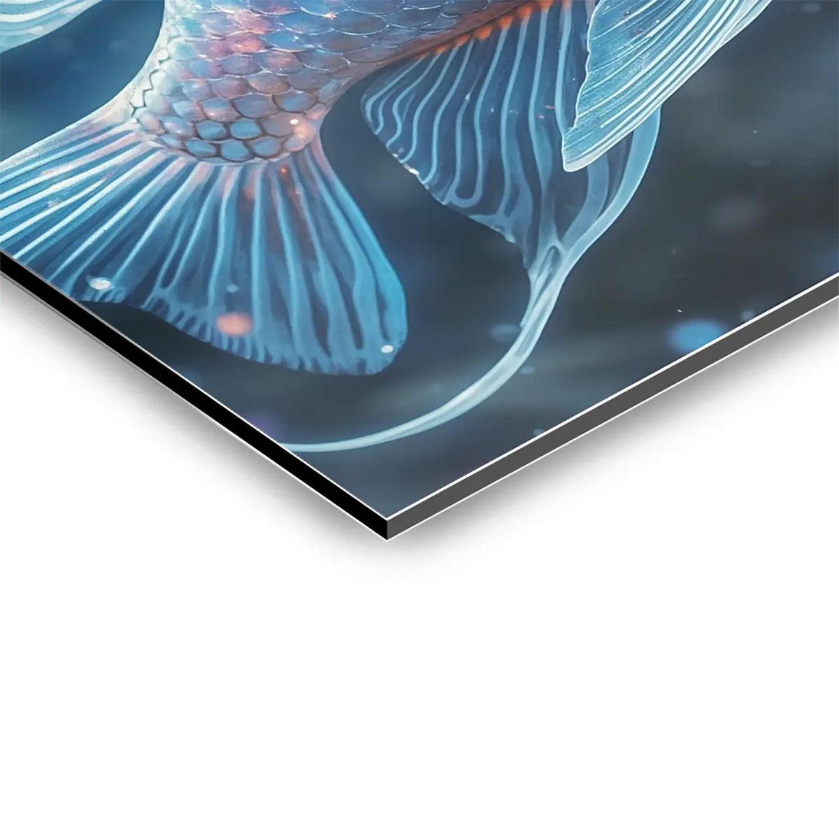 "COSMIC FISH"