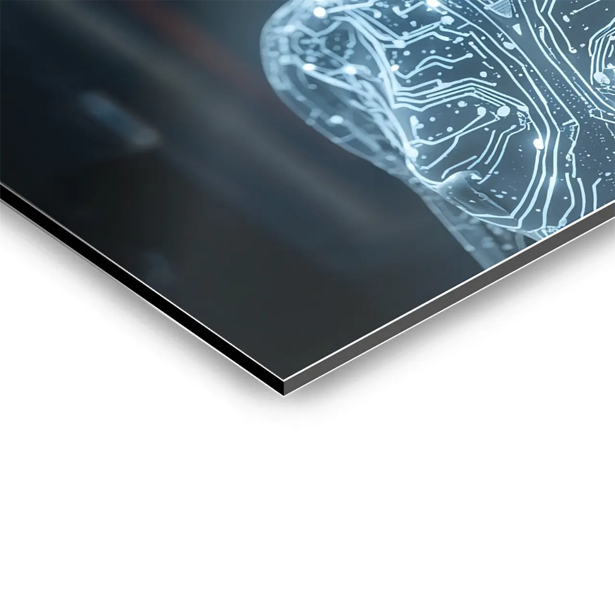 "DIGITAL SOUL"