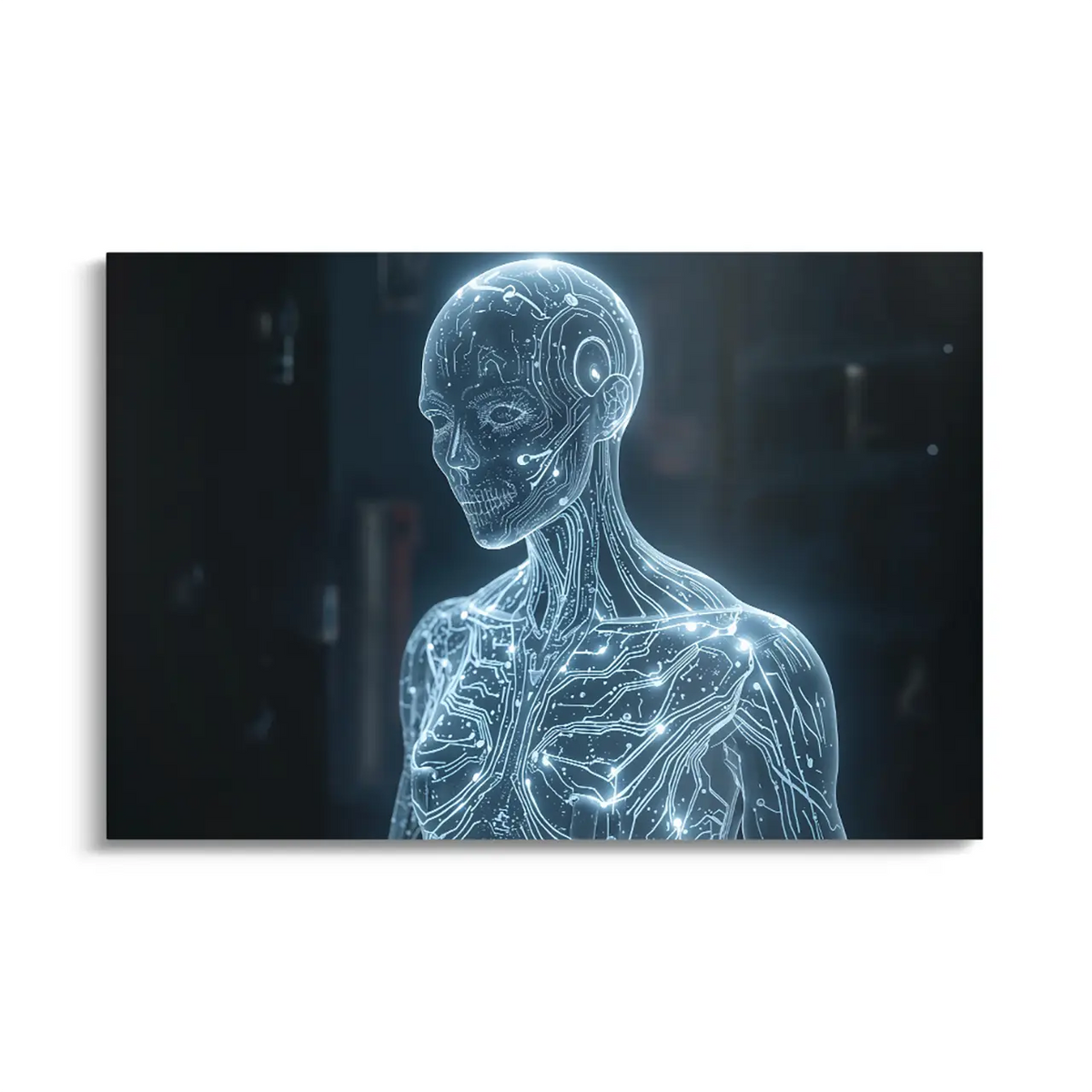 "DIGITAL SOUL"