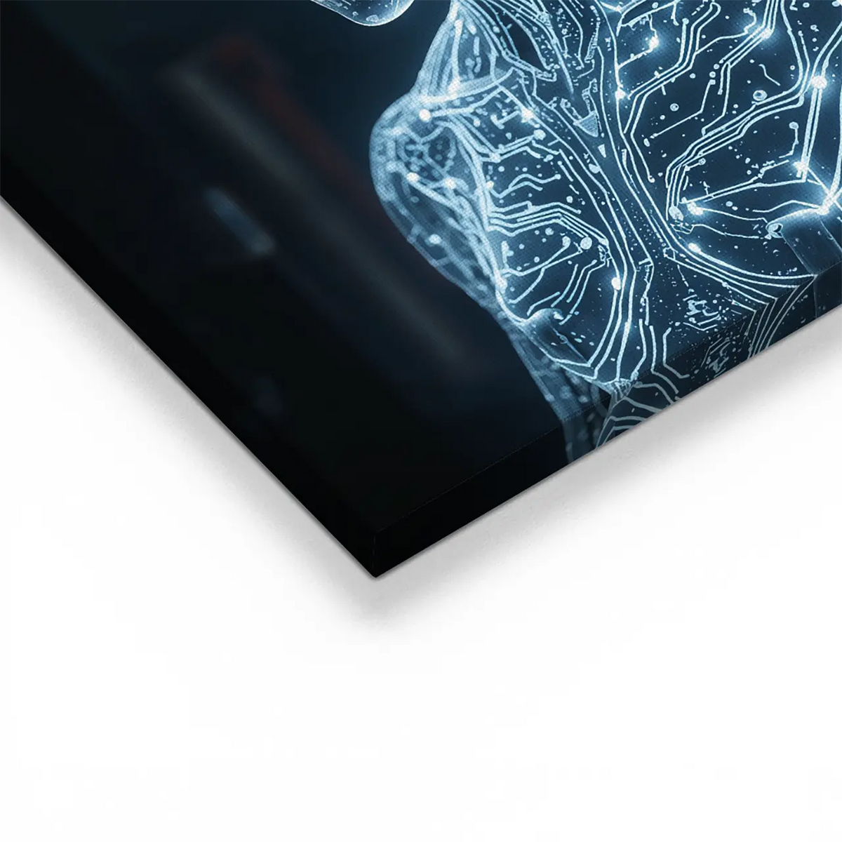 "DIGITAL SOUL"