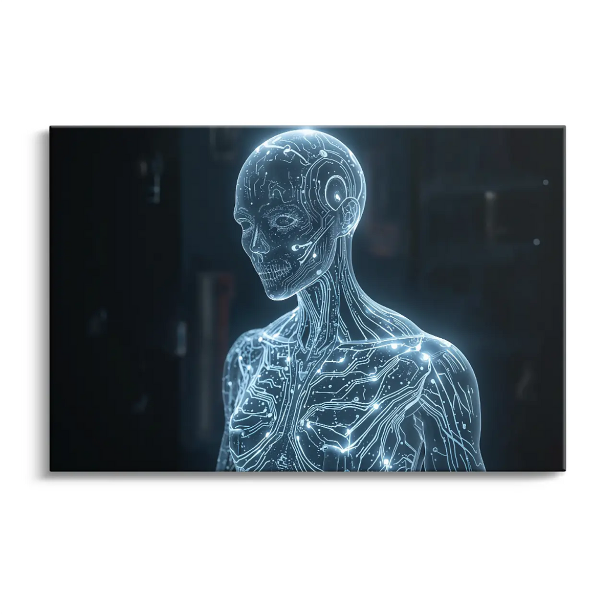 "DIGITAL SOUL"