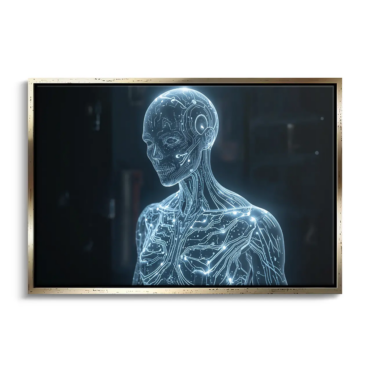 "DIGITAL SOUL"