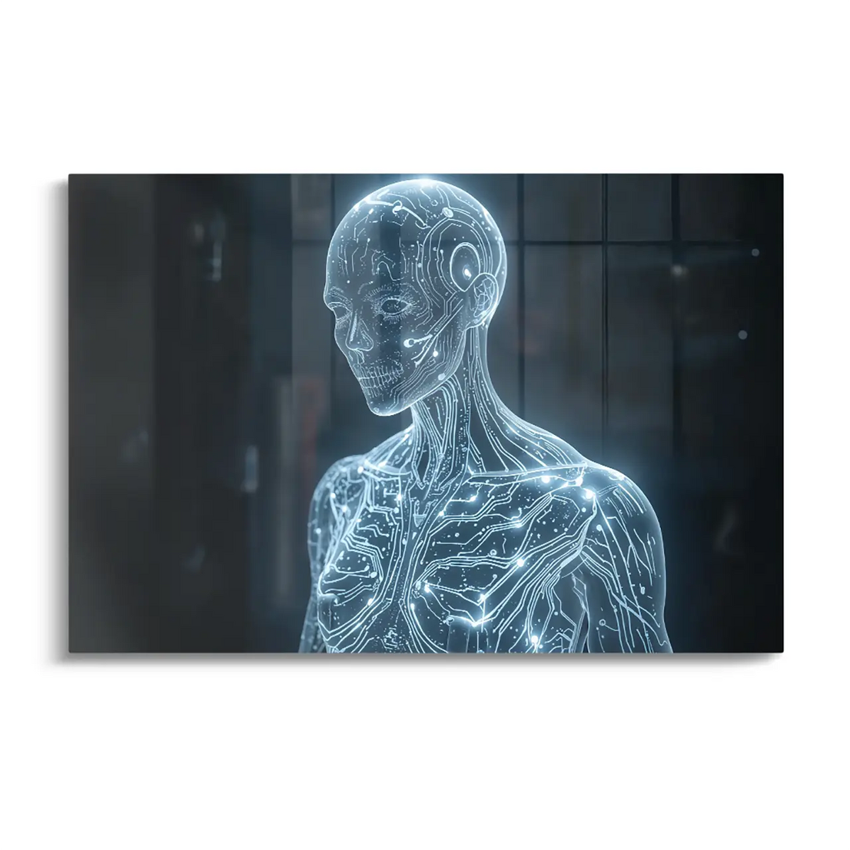 "DIGITAL SOUL"