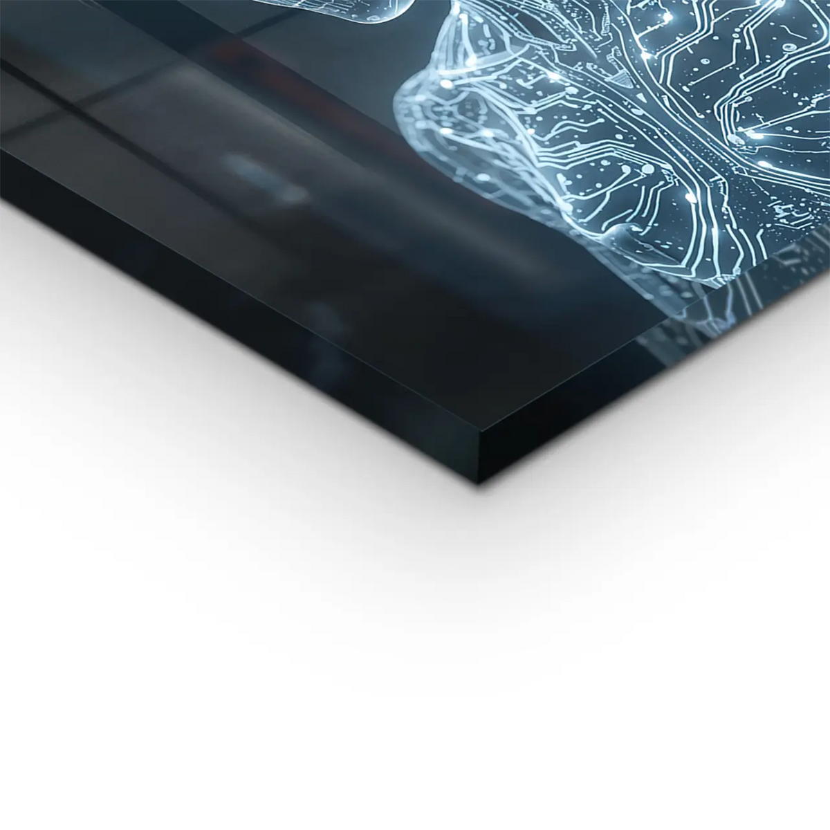 "DIGITAL SOUL"