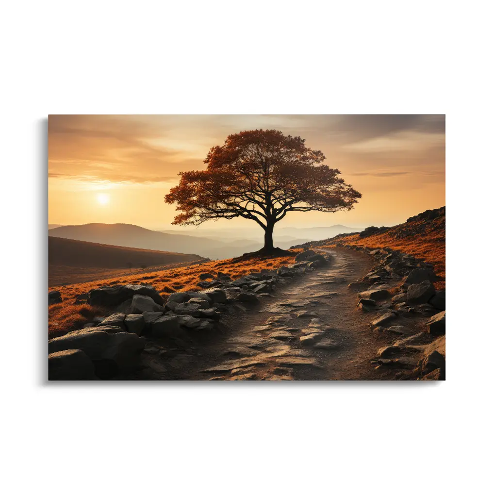 " Solitary Ember "