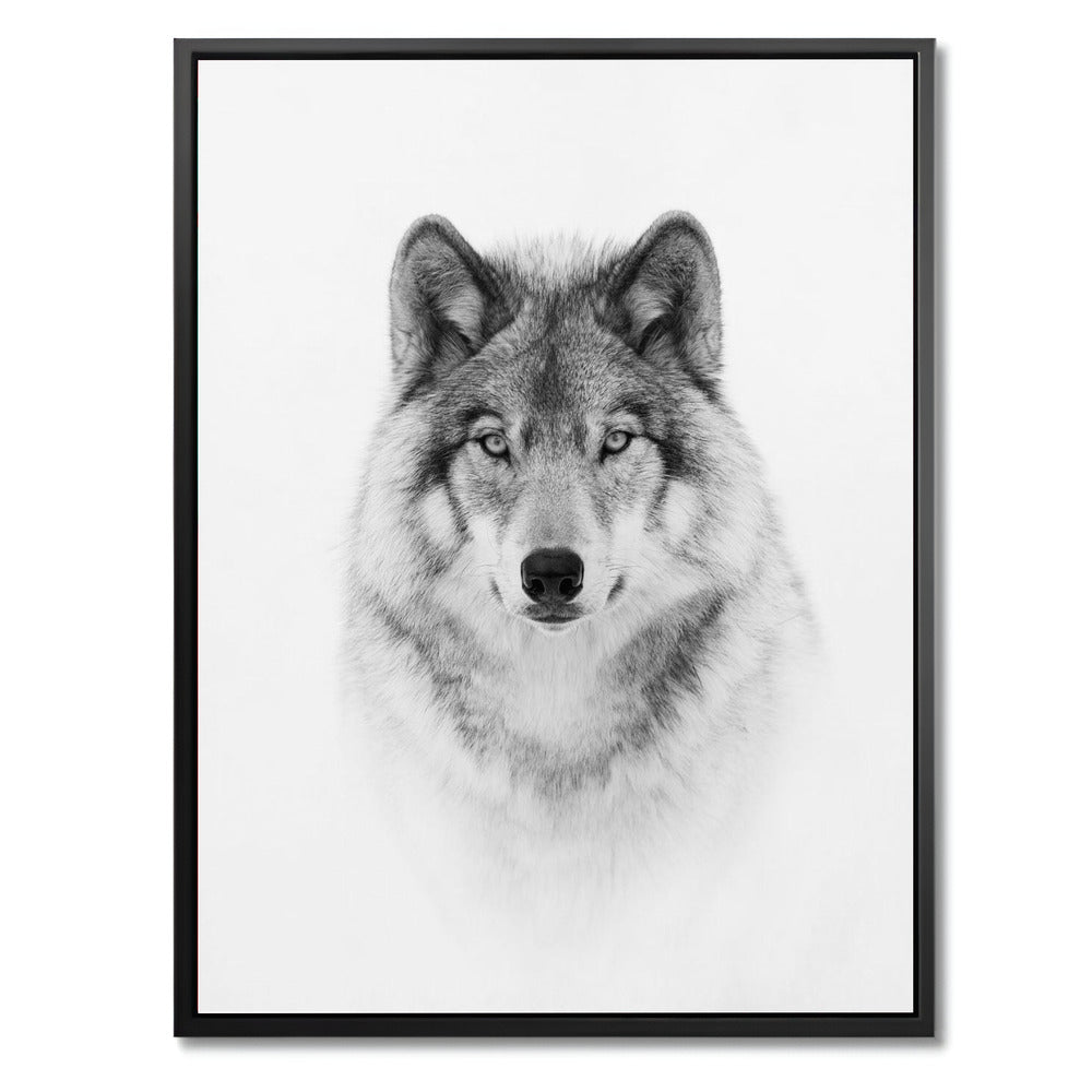 "PORTRAIT OF A TIMBER WOLF"