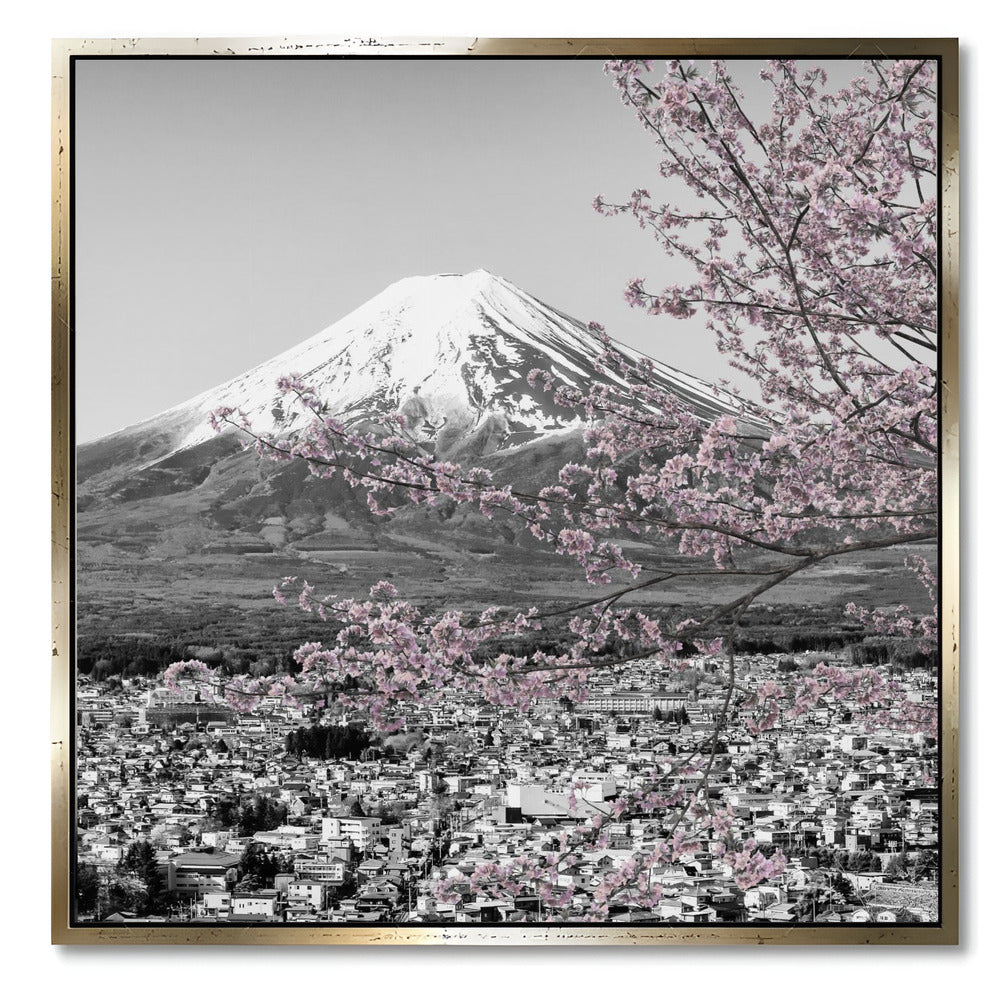 "MOUNT FUJI CHERRY BLOSSOM"