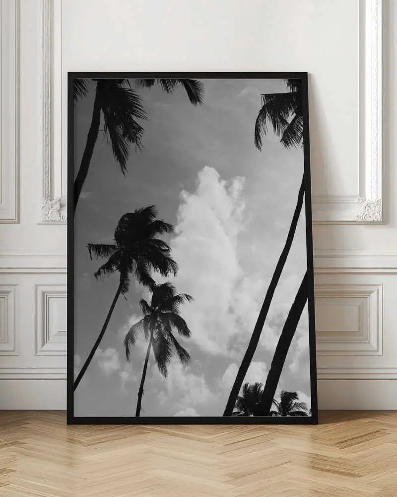 "SILHOUETTED PALMS"