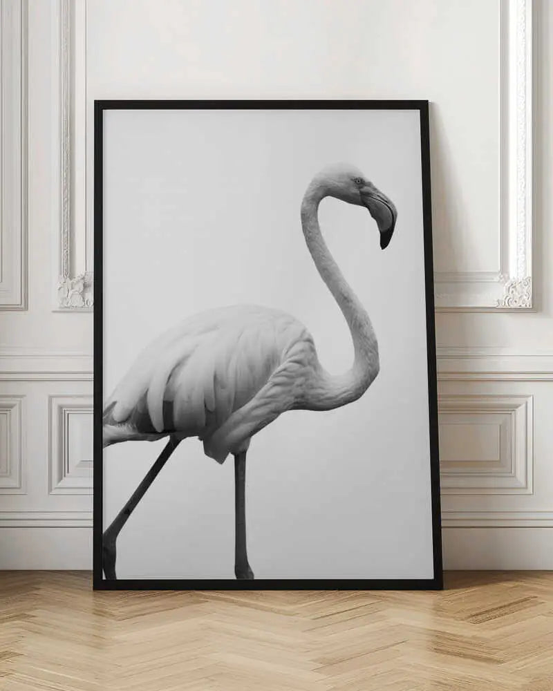 "GRACEFUL SILHOUETTE"