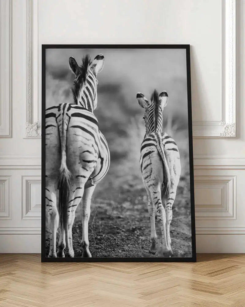 "STRIPED HORSE BACK SIDE"