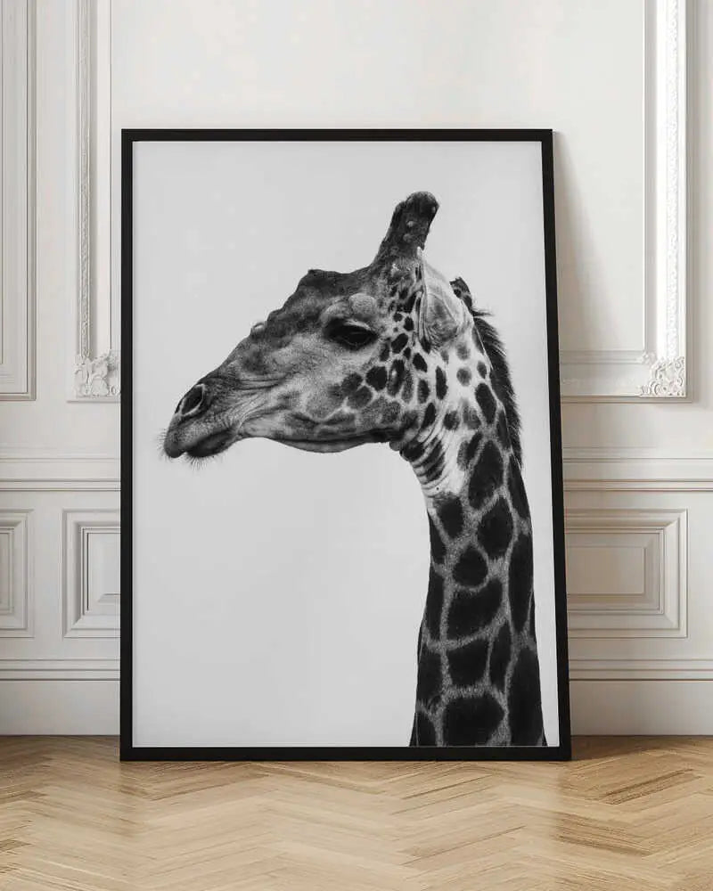 "INDICATE PATTERNS OF A GIRAFFE`S SKIN"