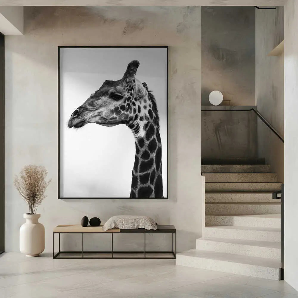 "INDICATE PATTERNS OF A GIRAFFE`S SKIN"