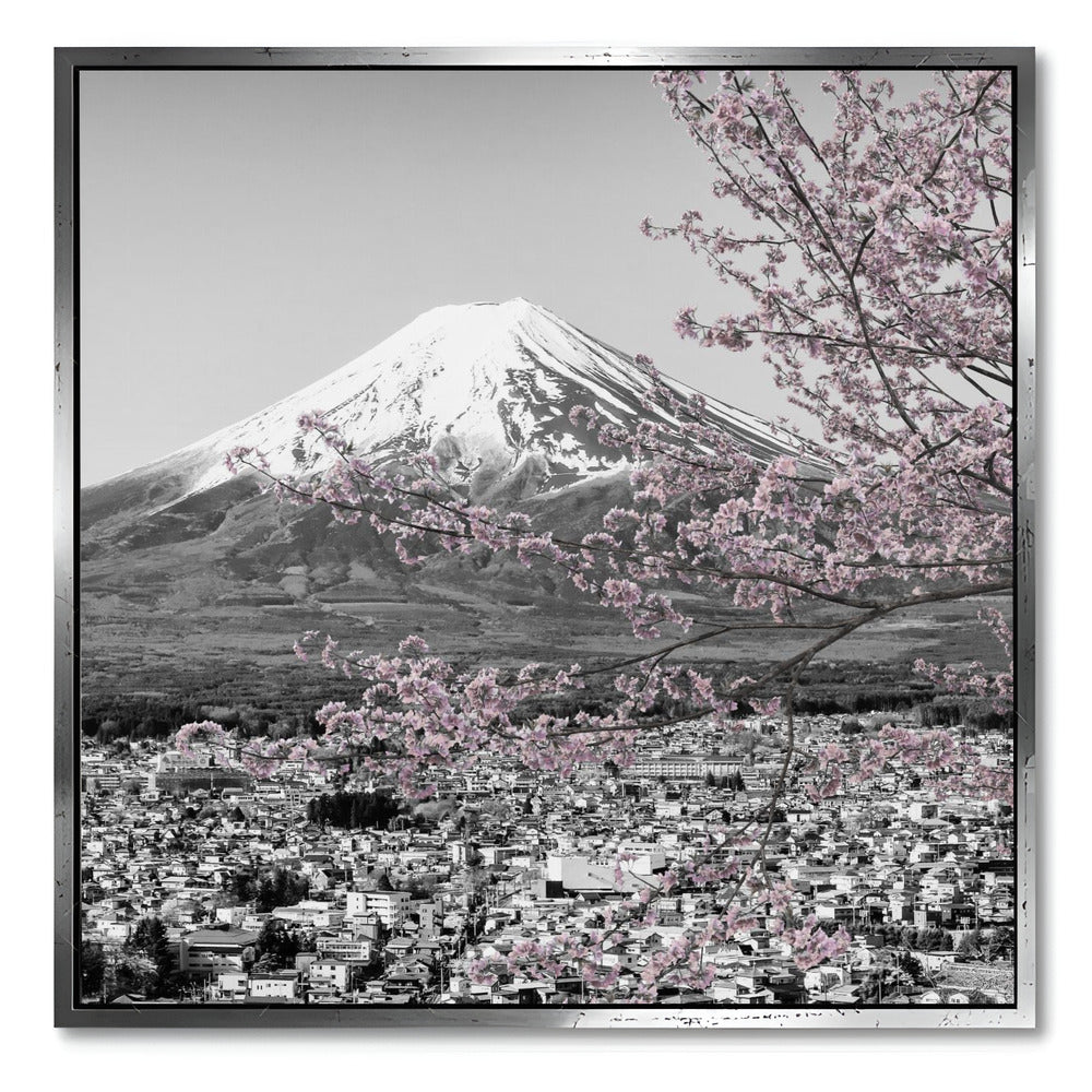 "MOUNT FUJI CHERRY BLOSSOM"